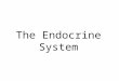The Endocrine System. Endocrine System A set of glands that produce hormones-- chemical messengers that circulate in the blood