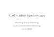 CLAS Hadron Spectroscopy Working Group Meeting, CLAS Collaboration Meeting, June 2013
