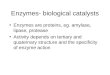 Enzymes- biological catalysts Enzymes are proteins, eg. amylase, lipase, protease Activity depends on tertiary and quaternary structure and the specificity