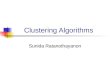 Clustering Algorithms Sunida Ratanothayanon. What is Clustering?