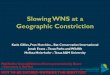 Slowing WNS at a Geographic Constriction Katie Gillies, Fran Hutchins  Bat Conservation International Jonah Evans  Texas Parks and Wildlife Melissa Meierhofer