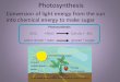 Photosynthesis Conversion of light energy from the sun into chemical energy to make sugar