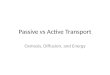 Passive vs Active Transport Osmosis, Diffusion, and Energy