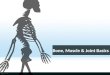 Bone, Muscle  Joint Basics. Primary Function of Bones 1. 2. 3