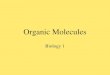 Organic Molecules Biology 1. Organic Molecules So we talked about atoms We go up to the next level MOLECULES!!!!!