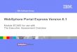 IBM Software Group  WebSphere Portal Express Version 6.1 Module ECA65 for use with The Executive Assessment Overview
