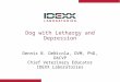 Dog with Lethargy and Depression Dennis B. DeNicola, DVM, PhD, DACVP Chief Veterinary Educator IDEXX Laboratories