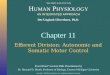 Copyright  2004 Pearson Education, Inc., publishing as Benjamin Cummings Dee Unglaub Silverthorn, Ph.D. H UMAN P HYSIOLOGY PowerPoint  Lecture Slide