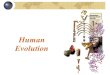 Human Evolution. What makes us human? Anthropology has examined evidence from millions of years to develop a theory of the ____________________________
