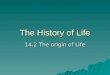 The History of Life 14.2 The origin of Life. The Origin of Life: Early Ideas People saw maggots appear on rotting meat  People saw mice appear in food