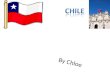 Chile By Chloe