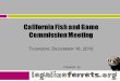 California Fish and Game Commission Meeting T HURSDAY, D ECEMBER 16, 2010 Prepared by: