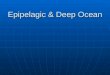 Epipelagic  Deep Ocean. Pelagic Ocean Zones (open ocean) Epipelagic- 0 to 200m (photic zone) Epipelagic- 0 to 200m (photic zone) Mesopelagic- 200 to