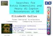 June_2004E. Gallas - SUSY 20041 Searches for Extra Dimensions and Heavy di-lepton Resonances at D0 Elizabeth Gallas Fermi National Accelerator Laboratory