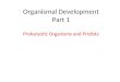 Organismal Development Part 1 Prokaryotic Organisms and Protists