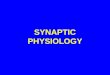 SYNAPTIC PHYSIOLOGY. Student Preparation Textbook of Medical Physiology, Guyton and Hall, Ch. 45 Neuroscience, Bear et al., Ch. 5, p. 38