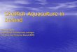 Shellfish Aquaculture in Ireland Donal Maguire Aquaculture Development manager The Irish Sea-Fisheries Board (BIM)