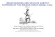 INDIAN BURNING AND WILDLIFE HABITAT PATTERNS OF THE OREGON COAST RANGE, 1491-2004 Oregon Chapter of the Wildlife Society Annual Meeting Bend, Oregon, February