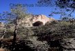 Chiricahua National Park. Things that will make you never want to leave Chiricahua. * in Chirichua there is a lot of wild life. There are so many birds
