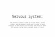 Nervous System: The nervous system is made up of the brain, spinal column, and peripheral nerves and is used to send messages to the muscles of the body