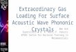 Extraordinary Gas Loading For Surface Acoustic Wave Phononic Crystals Ben Ash Supervisors  G. R. Nash, P. Vukusic EPSRC Centre for Doctoral Training in
