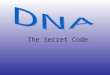 The Secret Code. Genes Genes, which are sections of DNA, are known to: Carry information from one generation to the next. Put that information to work