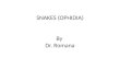 SNAKES (OPHIDIA) By Dr. Romana. Classification 1. Poisonous snakes 2. Non- poisonous snakes Poisonous snakes Elapids (secreting neurotoxic venom) Vipers