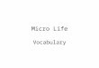 Micro Life Vocabulary. 1. infectious  disease caused by germs, such as bacteria