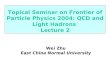 Topical Seminar on Frontier of Particle Physics 2004: QCD and Light Hadrons Lecture 2 Wei Zhu East China Normal University