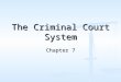 The Criminal Court System Chapter 7. In this chapter we will look at The Criminal Court Structure The Criminal Court Structure The Participants The Participants