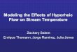 Modeling the Effects of Hyporheic Flow on Stream Temperature