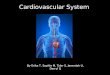 Cardiovascular System By Erika T, Sophie M, Tyler S, Jeremiah U, Derryl Q