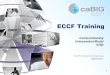 1 ECCF Training Computationally Independent Model (CIM) ECCF Training Working Group March 2011