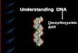 Understanding DNA Deoxyribonucleic Acid. What did Rosalind Franklin do? _________________ _______________ _______________ _______________ _______________