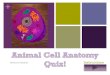 + Instructions Shannon Callahan. + Instructions Please watch my Animal Cell Anatomy digital photo story at  