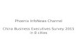 Phoenix InfoNews Channel China Business Executives Survey 2015 in 8 cities