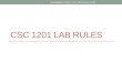 CSC 1201 LAB RULES Nouf Aljaffan (C) 2012 - CSC 1201 Course at KSU