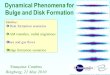 Dynamical Phenomena for Bulge and Disk Formation Franoise Combes Ringberg, 21 May 2010 Outline:  Disk formation scenarios  AM transfers, radial migrations