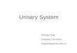 Urinary System Shiping Ding Zhejiang University