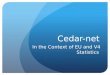Cedar-net In the Context of EU and V4 Statistics