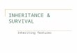 INHERITANCE  SURVIVAL Inheriting features. Key definitions GENE A part of a chromosome which controls a specific feature of an individual