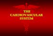 THE CARDIOVASCULAR SYSTEM THE CARDIOVASCULAR SYSTEM
