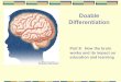 Doable Differentiation Part II: How the brain works and its impact on education and learning