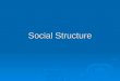 Social Structure.   Social Structure the network of interrelated statuses and roles that guide human interaction   Status a socially defined position