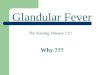 Glandular Fever The Kissing Disease !!!!! Why ???