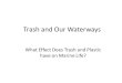 Trash and Our Waterways What Effect Does Trash and Plastic have on Marine Life?