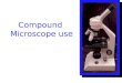 1 Compound Microscope use. Using Microscopes! These are the guidelines to insure a great view