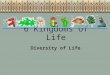 6 Kingdoms of Life Diversity of Life. S7L1:The student will investigate the diversity of living organisms…