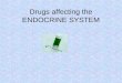 Drugs affecting the ENDOCRINE SYSTEM