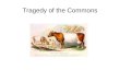 Tragedy of the Commons. What are “commons”? Land or resources belonging to, or affecting, the whole…